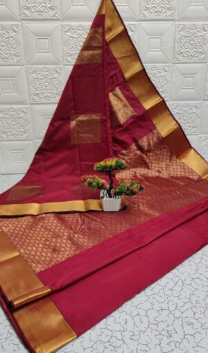 Vastrakala Rani Glow Zari Border