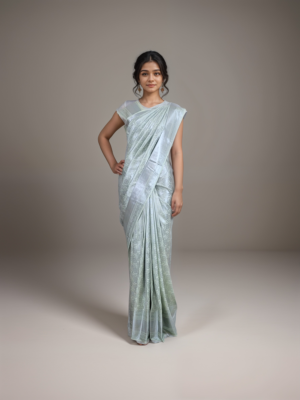 Vasthrakala Silver Zari Work Silk Saree